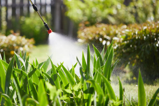 24/7 Emergency Fumigation Services experts in Mauston, WI