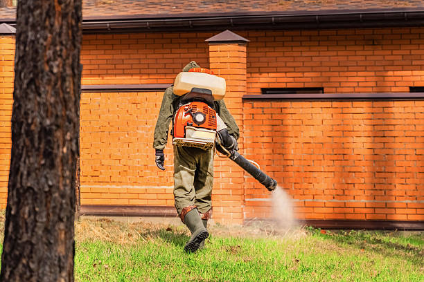 Top rated local Fumigation Services specialists in Mauston, WI